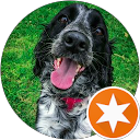 Leydy P profile picture